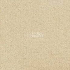 Ковролин Radici Admiral Nougat 2216 фото 1 | FLOORDEALER